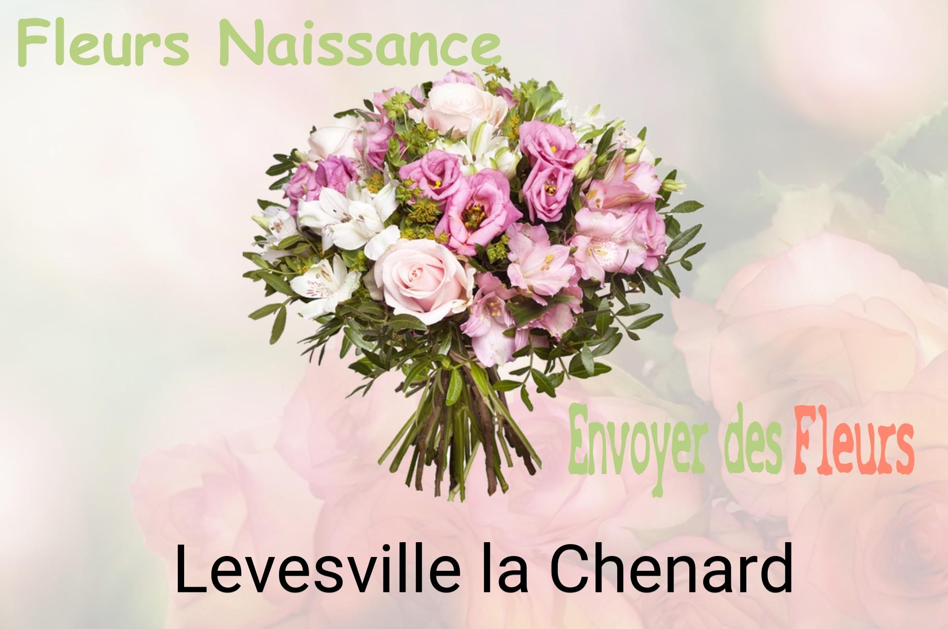 Bouquet de fleurs de naissance livré à Levesville-la-Chenard