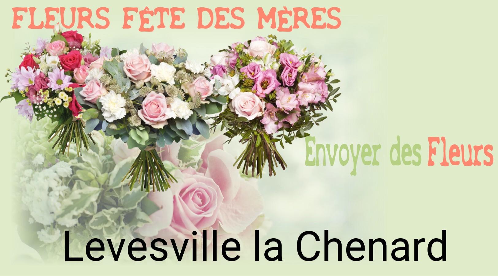 Bouquet de Fête des Mères livré à Levesville-la-Chenard